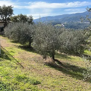 Vigna De' Luceri Appartamento Loceri